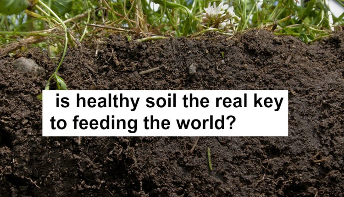 healthy soil