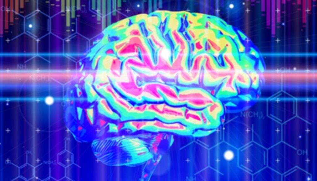 microwave-brain