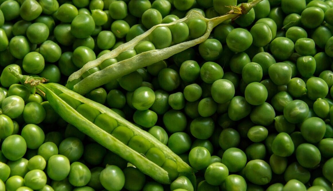 organic farming