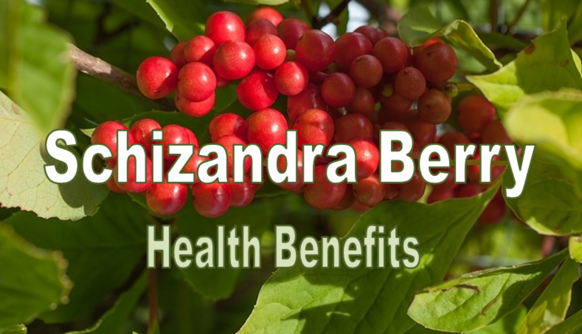 schizandra-health-benefits