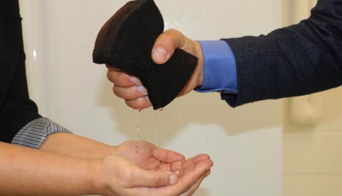 sponge1