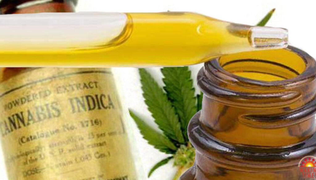 Cannabis-Oil-1