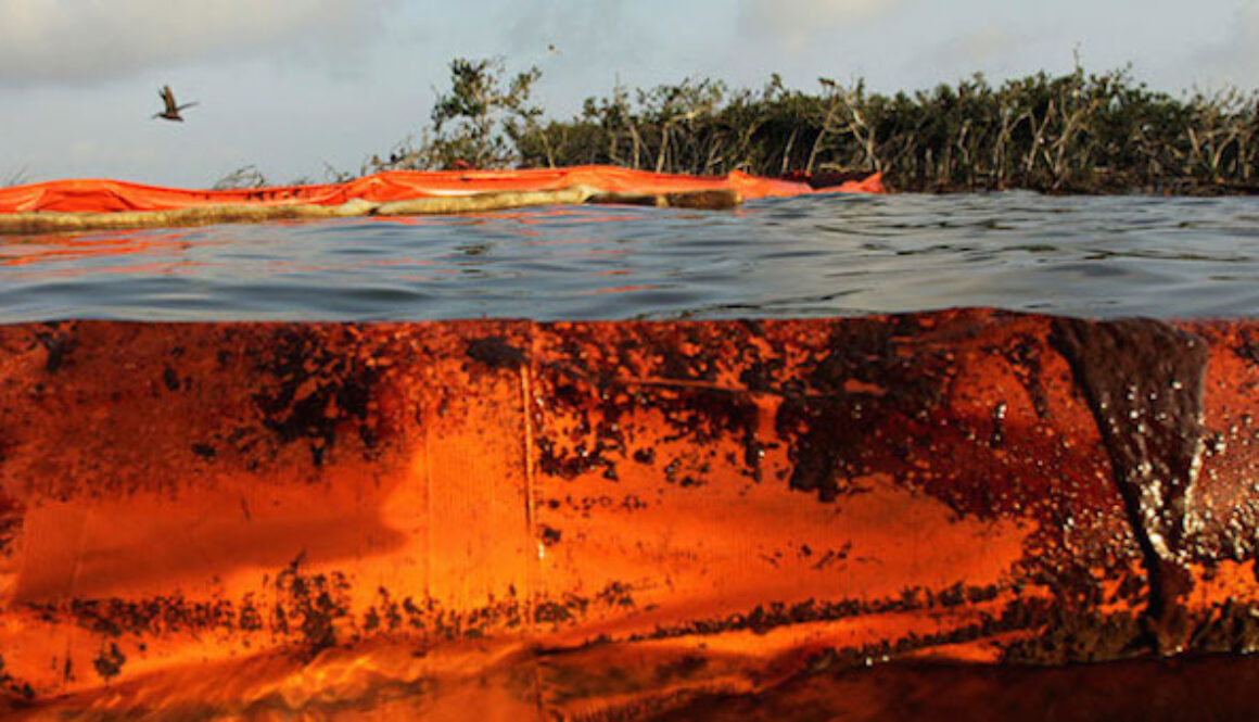 Cat-Island-Oil-Spill