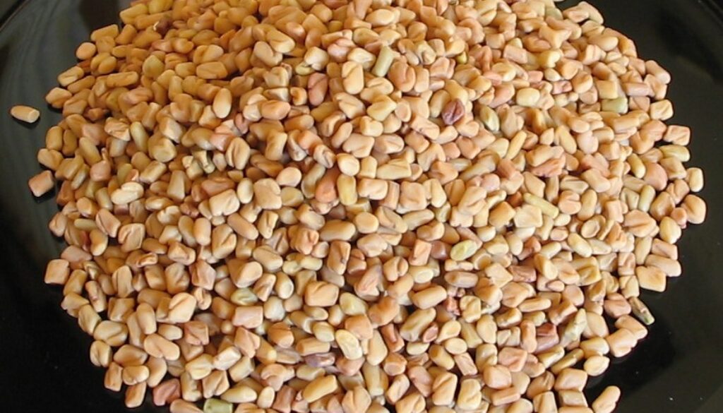 Fenugreek-seeds