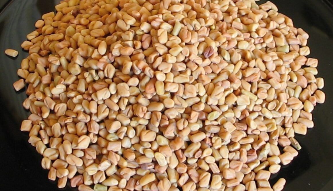 Fenugreek-seeds