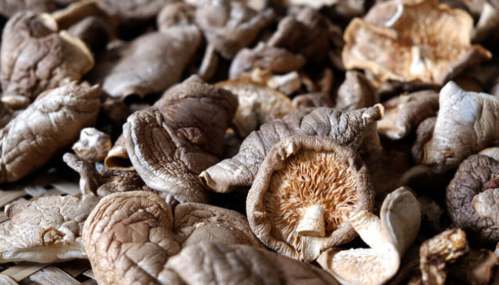 Study-supports-heart-health-benefits-of-mushroom-powders_strict_xxl