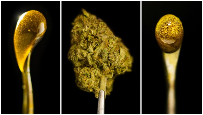 autism-cannabis1-700x397 autism-cannabis1-700x397