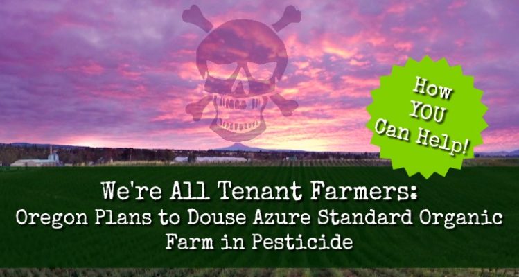 azure-farm-749x400 azure-farm-749x400