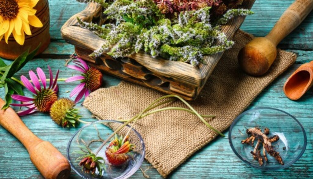 medicinal plants