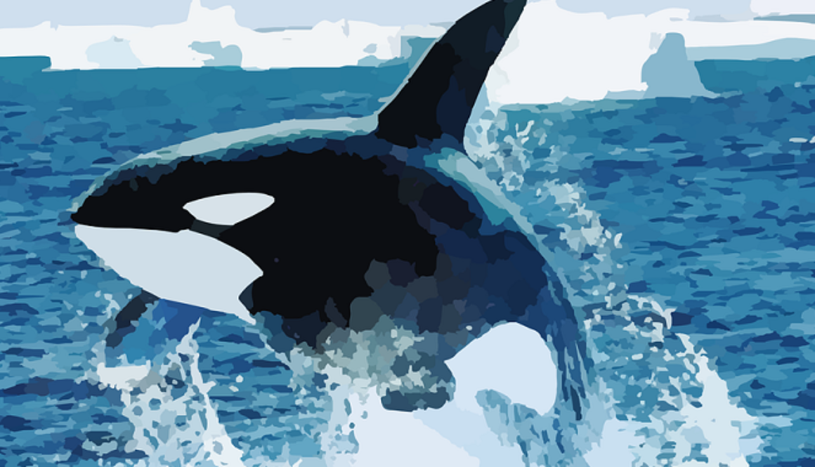 orca-monsanto