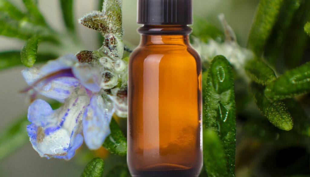 rosemary essential oil for memory