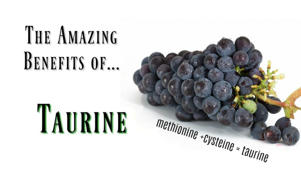 taurine-benefits-food-sources
