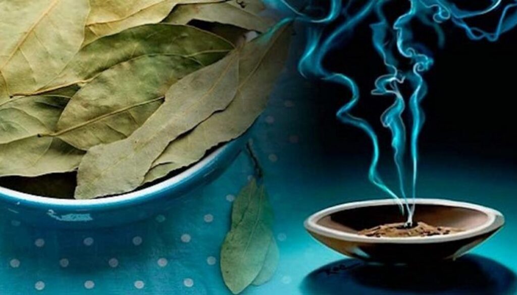 Burn-Bay-Leaves-in-the-House-and-See-What-Happens-After-10-Minutes