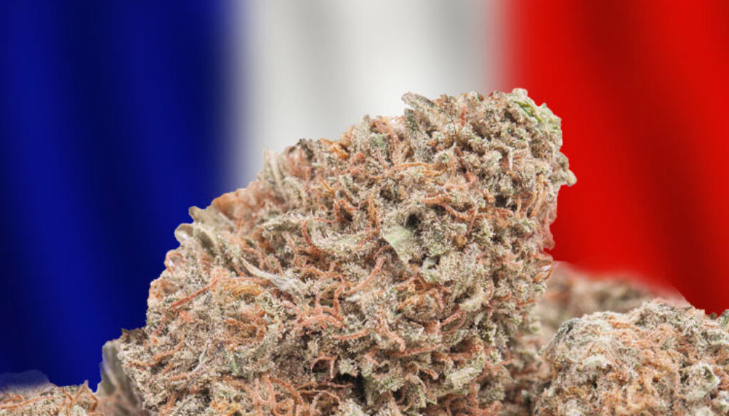 France-Cannabis