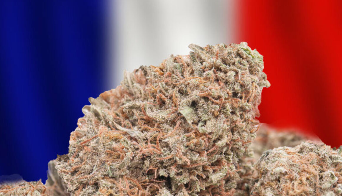 France-Cannabis