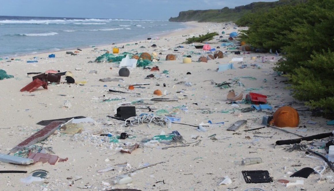 Henderson-Island