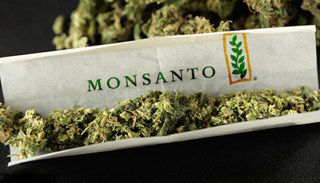 Monsanto-Cannabis