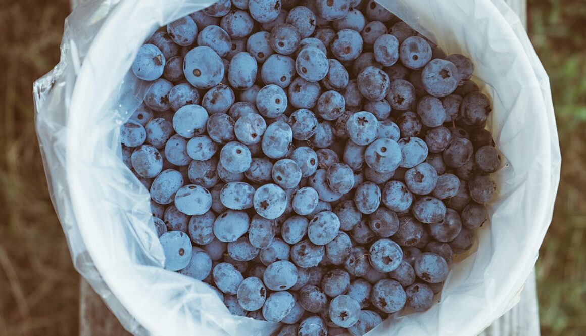 antioxidants-1850993_960_720