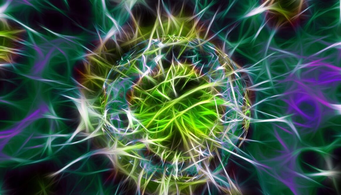 bacteria-1477522_1280