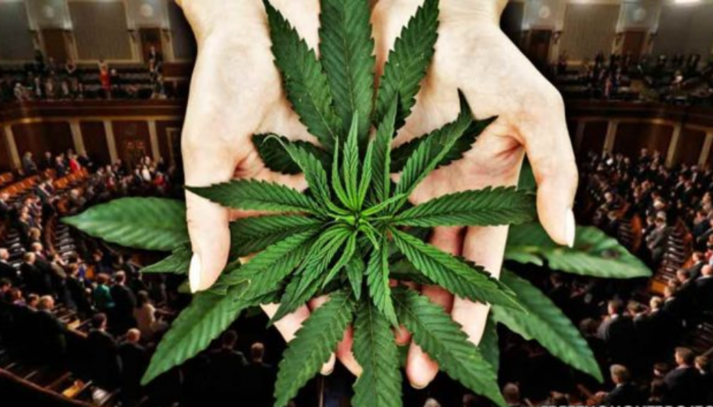 bipartisan marijuana legalization