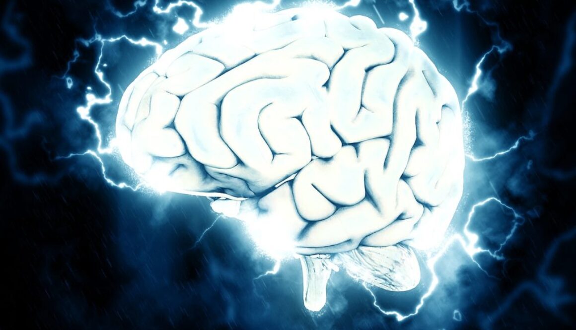 brain pixabay