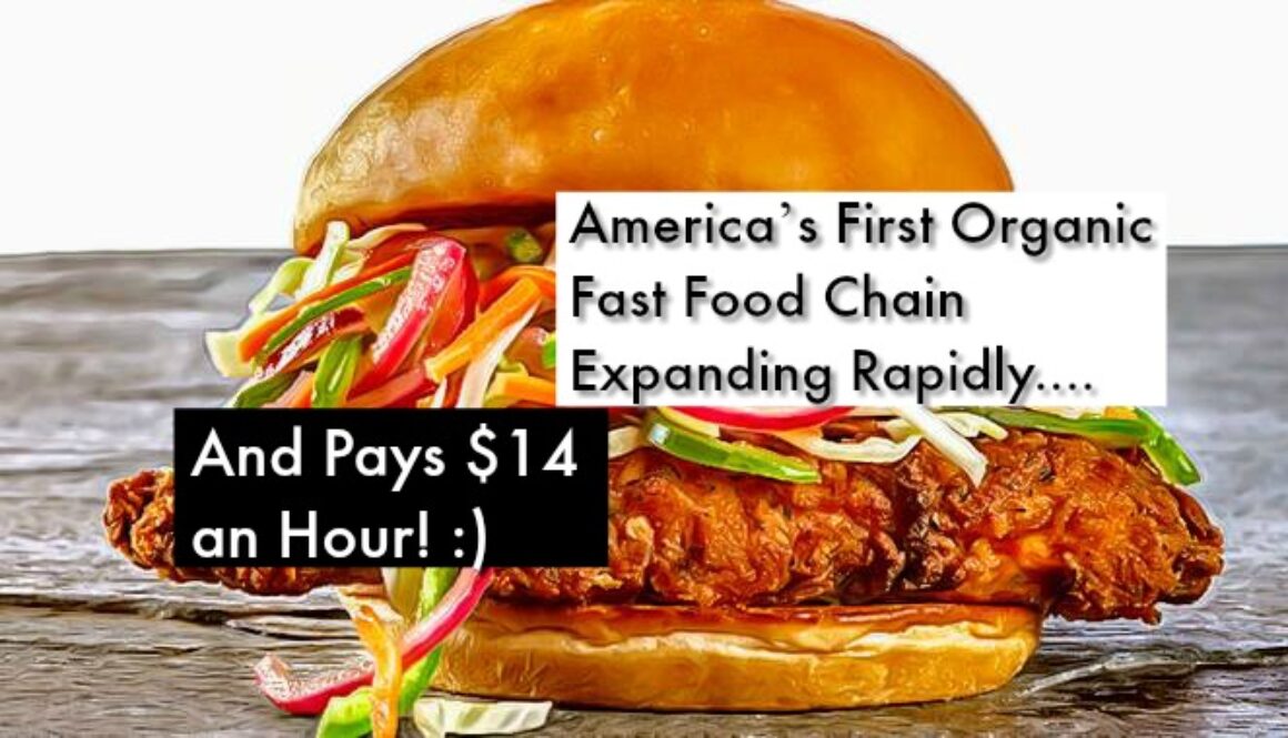 first organic fast food chain