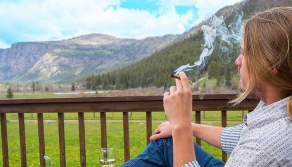 marijuana-users-790x400