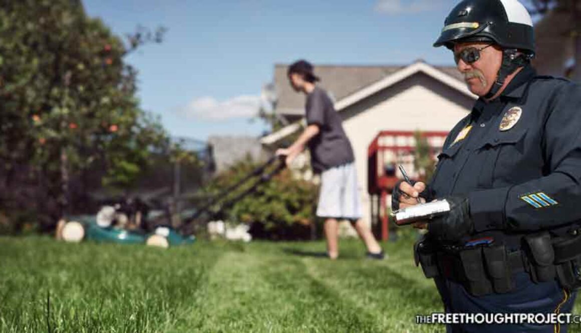 mowing-grass