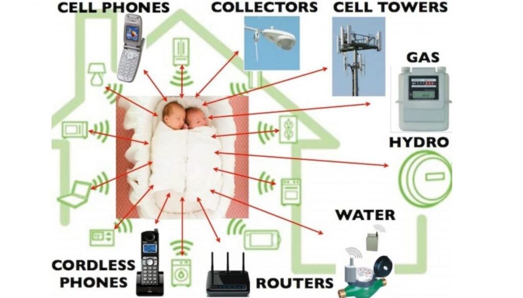 regulation-of-emf-1024x593-1