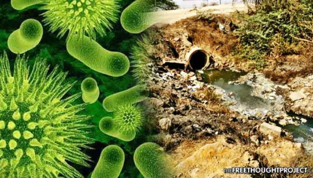 superbugs