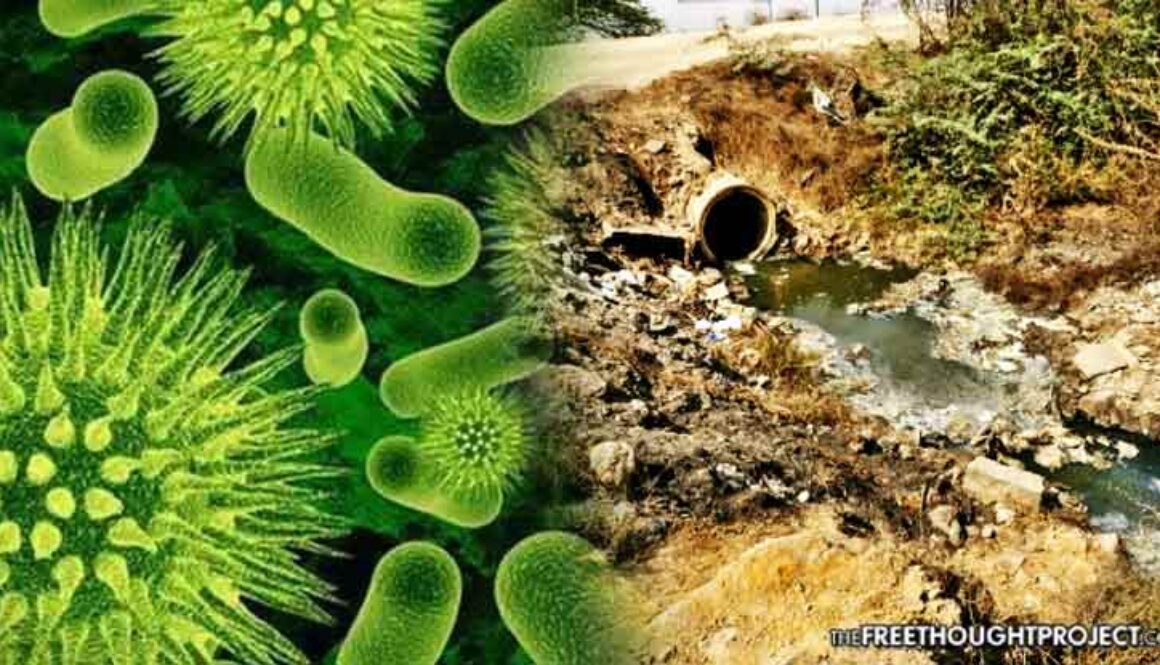 superbugs