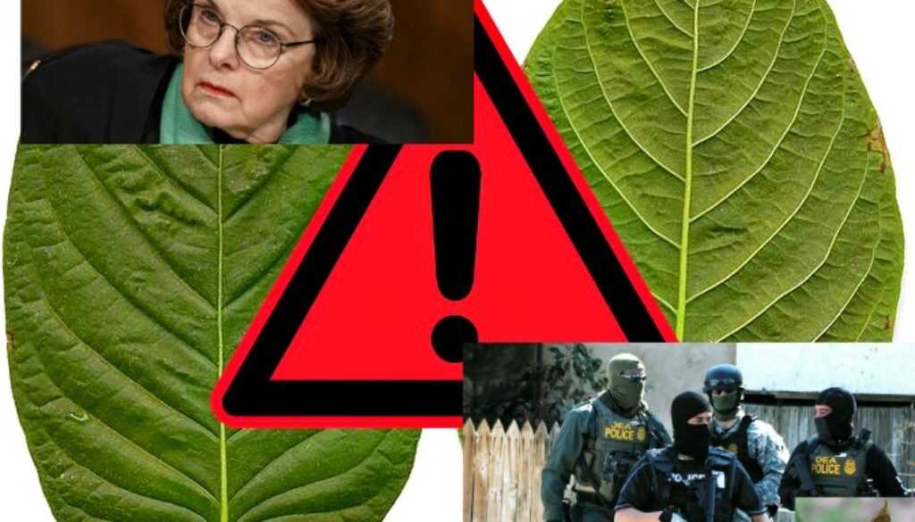 congress kratom