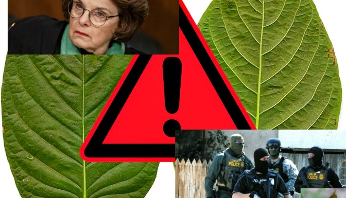 congress kratom