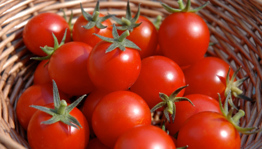 tomatoes.jpg