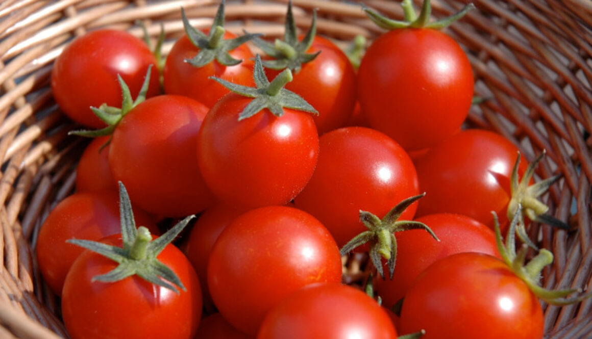 tomatoes.jpg