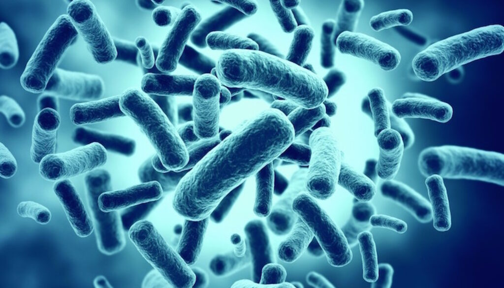 Probiotics