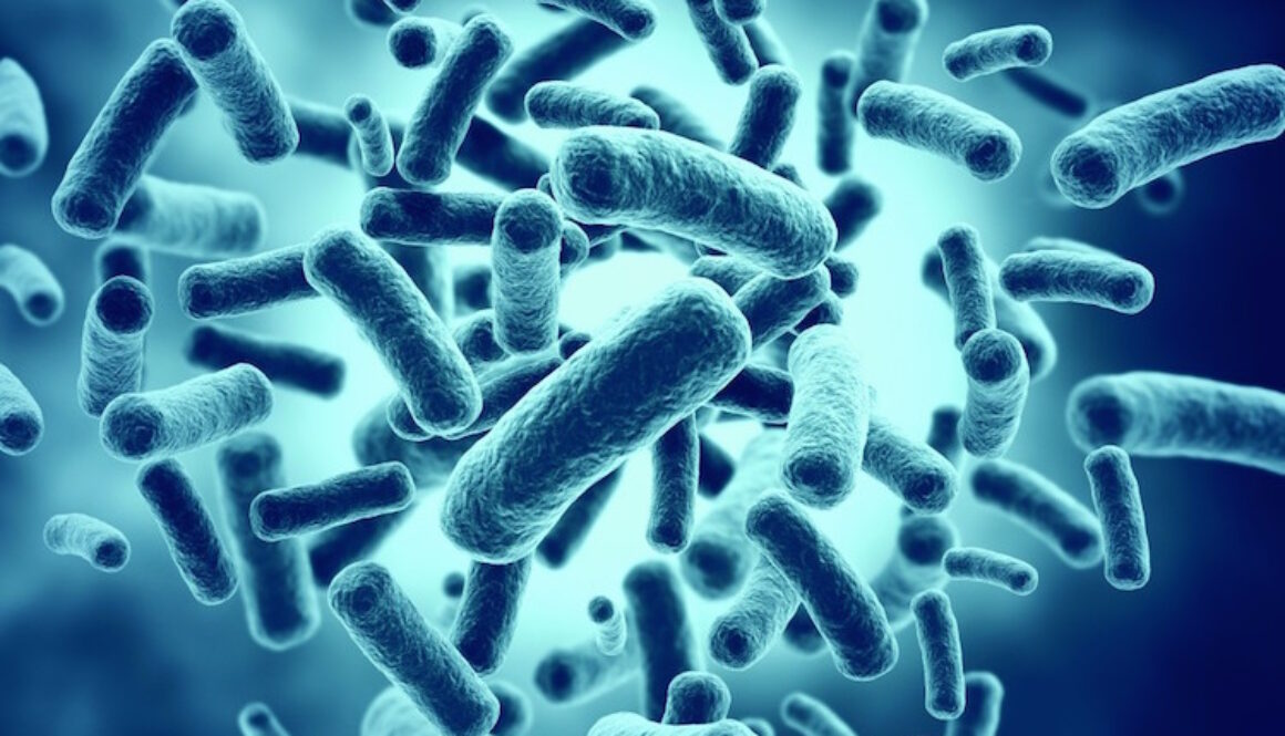 Probiotics