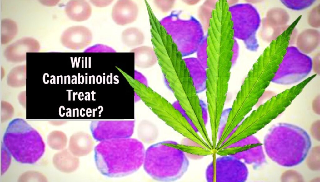 cannabis-kills-cancer