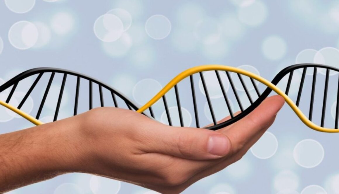 dna editing pixabay
