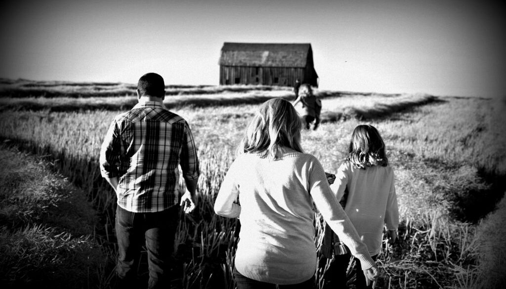 parity holga barn