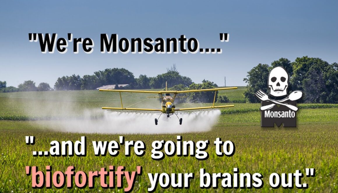 A crop duster applies chemicals to a field of vegetation.