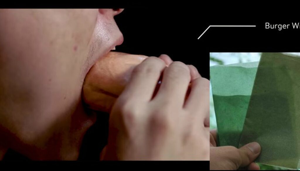 biodegradable edible
