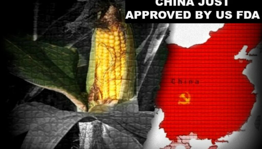 china-gmos1