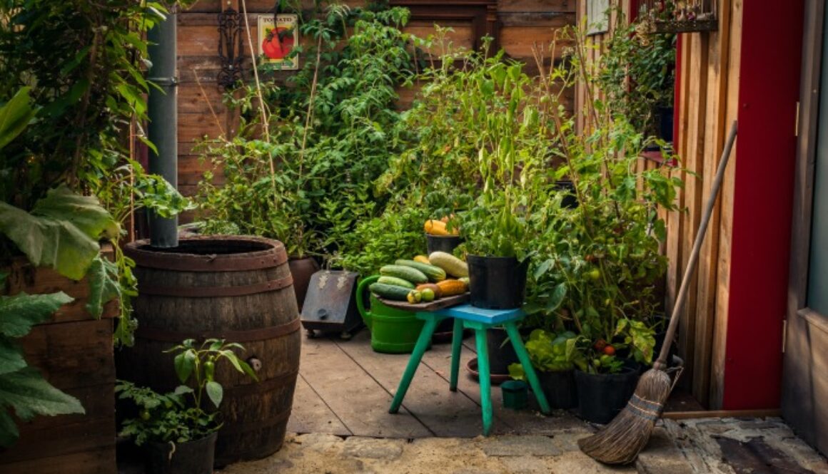 container-garden