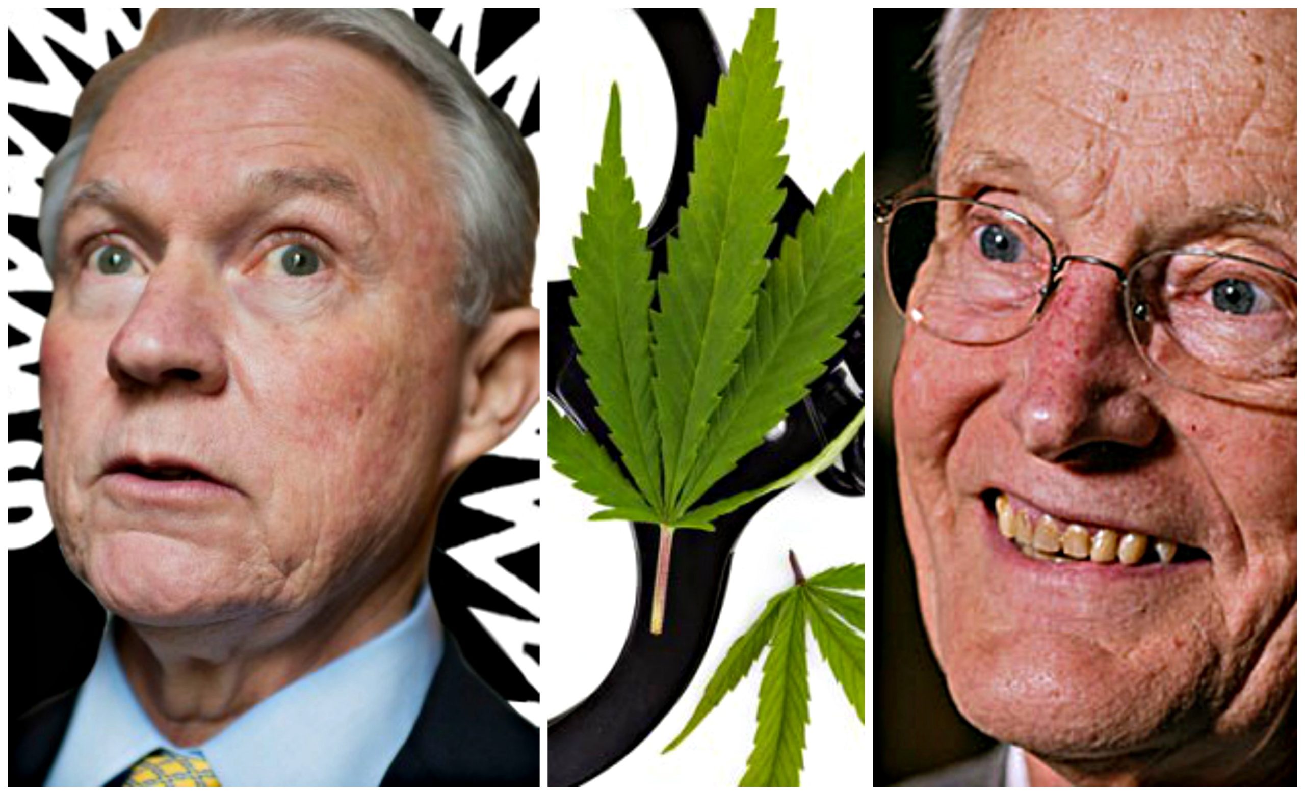 dupont marijuana drug testing dupont marijuana drug testing