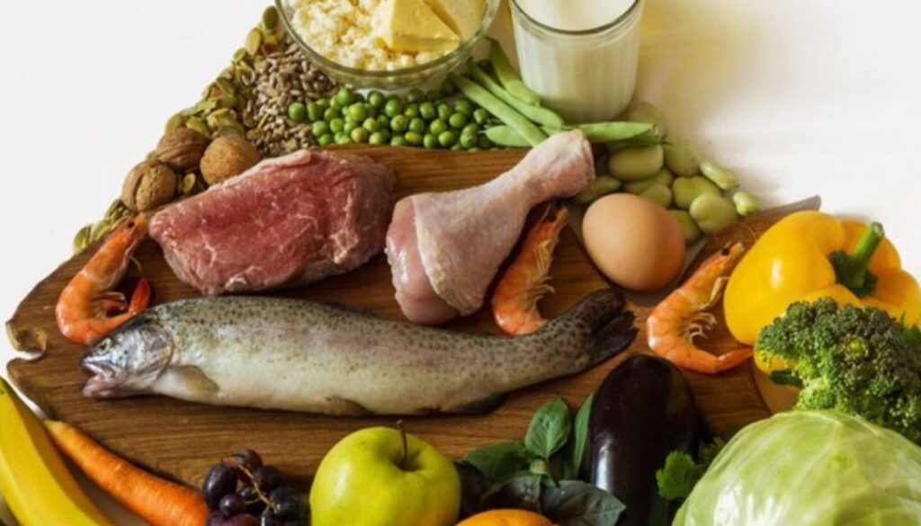 government diet FEE