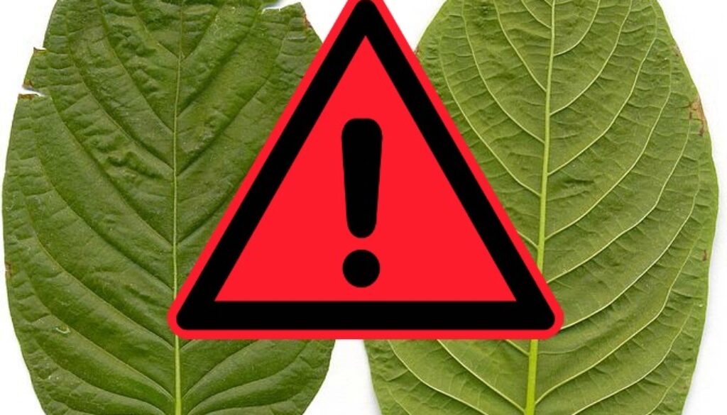 kratom-ban-action-alert