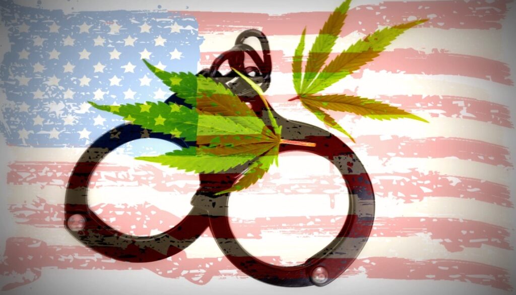 Marijuana leaves and handcuffs isolated on white background illegal drug.