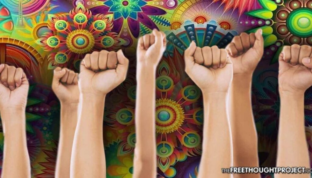 mushrooms-resist-1392x731
