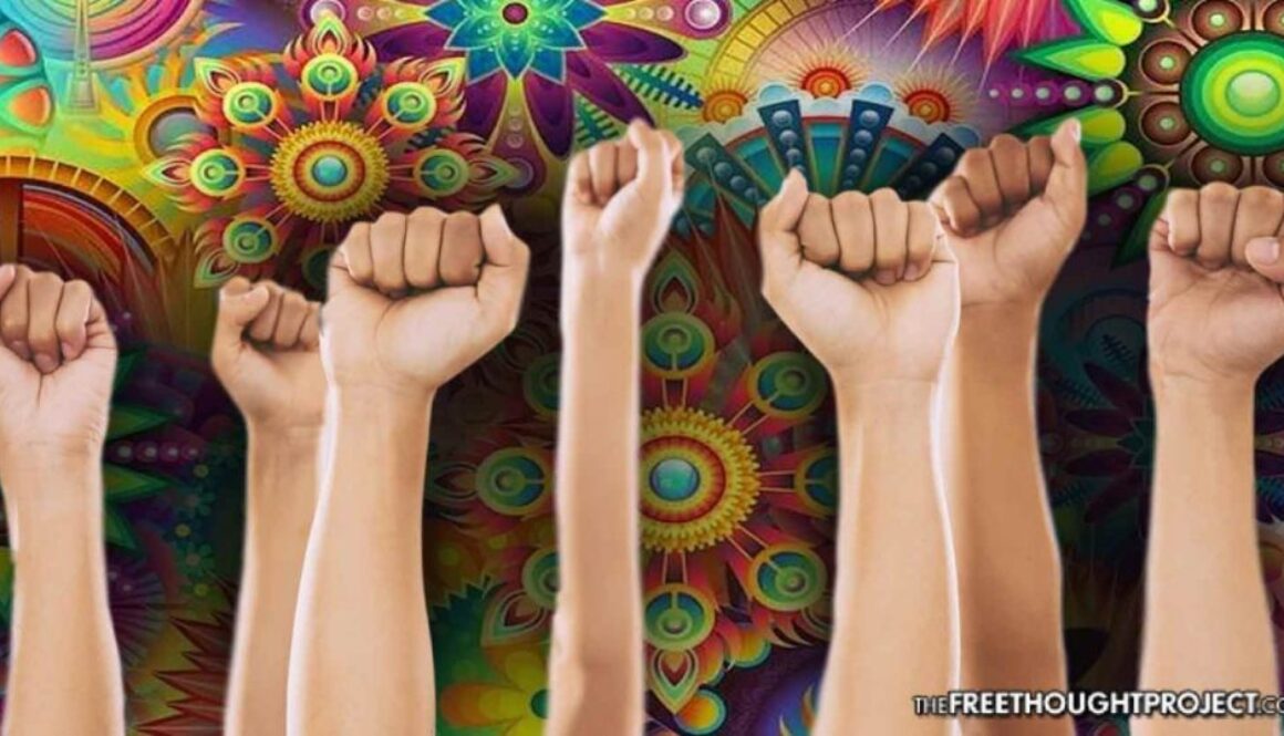 mushrooms-resist-1392x731